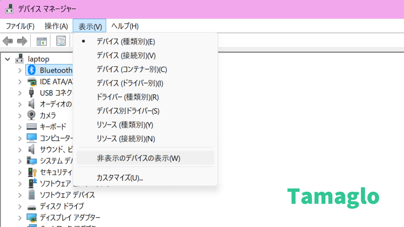 デバイスマネージャーの表示から「非表示のデバイスの表示(W)」にチェックを入れるイメージ