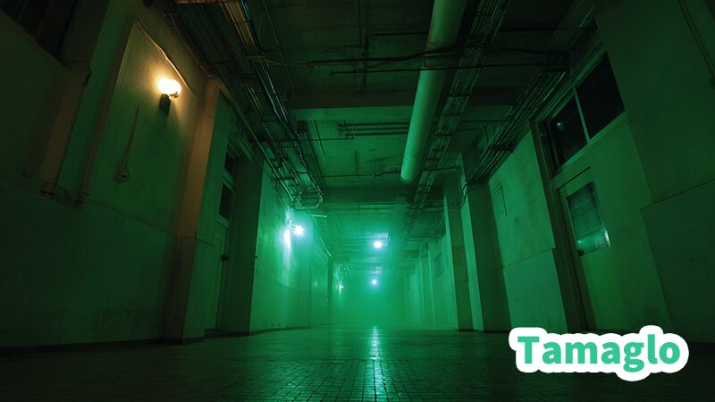 ユーザー報告の不具合を示すモニターのグリッチと警告アイコン